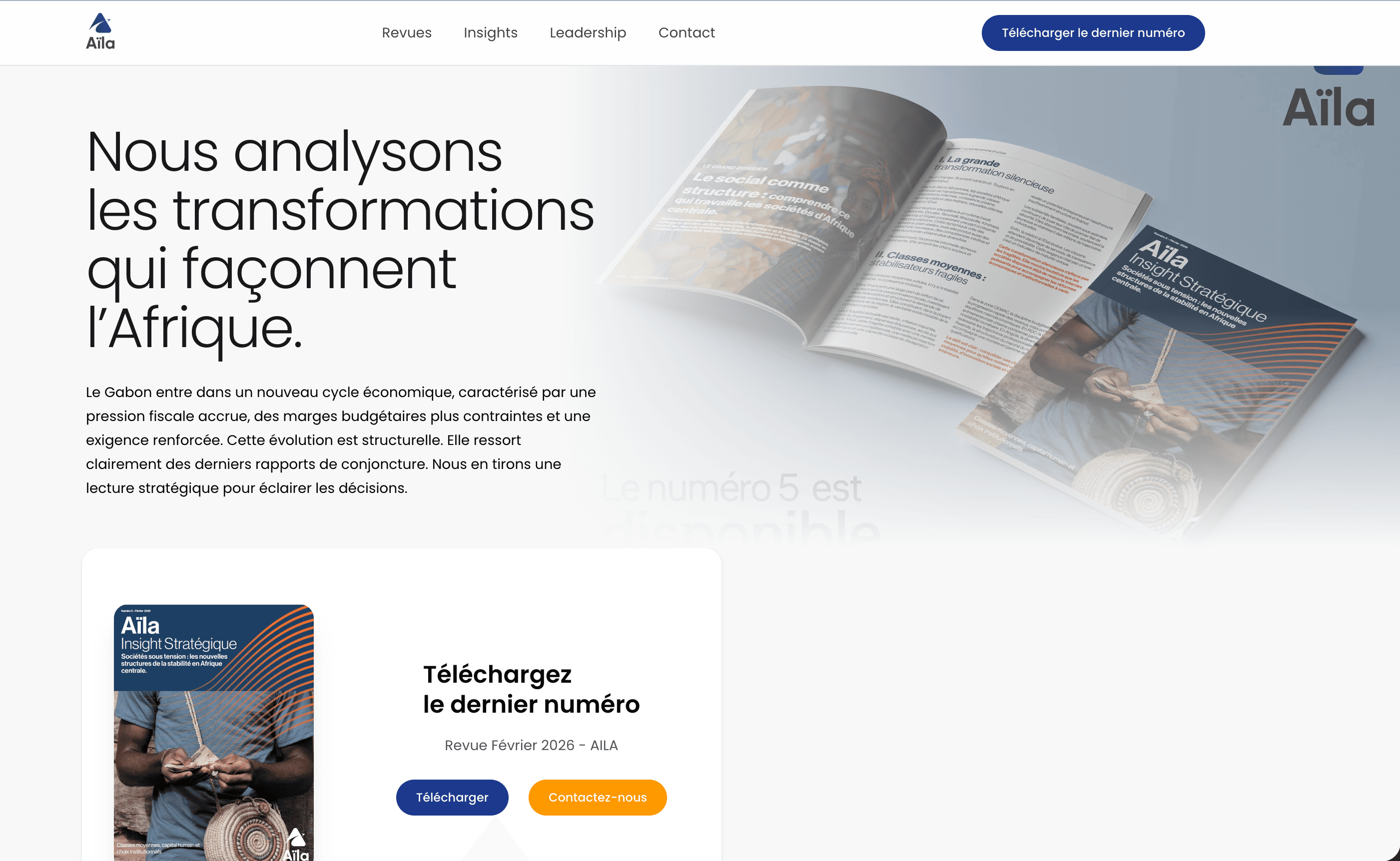 AILA — Site de conseil stratégique, capture 1